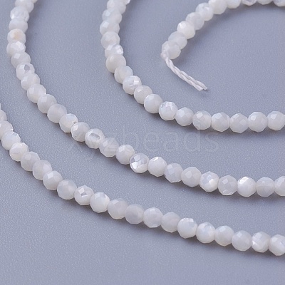 Shell Beads Strands SSHEL-E571-38-2mm-1