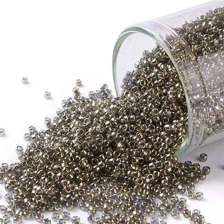 TOHO Round Seed Beads SEED-JPTR11-0204-1