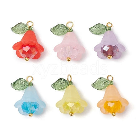 6Pcs Acrylic & Glass Pendants PALLOY-TA00192-1