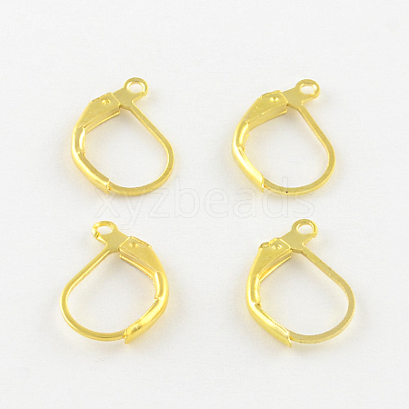 Iron Leverback Earring Findings IFIN-Q113-G-1