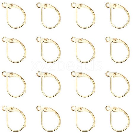 Brass Leverback Earring Findings KK-PH0026-22G-RS-1