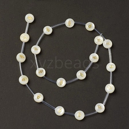 Natural Freshwater Shell Beads Strands BSHE-B005-13G-1