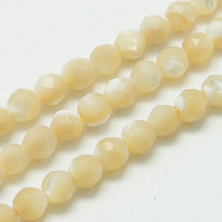 Natural Shell Beads Strands G-K020-3mm-02-1