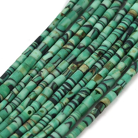 Dyed Synthetic Turquoise Beads Strands G-P594-01B-06-1