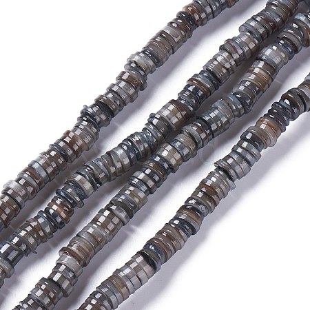 Natural Freshwater Shell Beads Strands BSHE-I016-04A-1