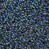 MIYUKI Round Rocailles Beads X-SEED-G007-RR0249-3
