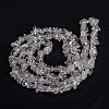 Natural Quartz Crystal Beads Strands G-G011-03-3