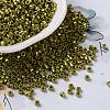 Baking Paint Glass Seed Beads X-SEED-S042-15A-16-1