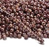 TOHO 6/0 Round Beads SEED-TR06-1203-2