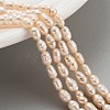 Natural Cultured Freshwater Pearl Beads Strands PEAR-P062-01B-2