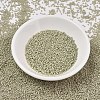 MIYUKI Delica Beads SEED-J020-DB2363-2