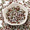 Baking Painted Glass Seed Beads SEED-C004-03G-2