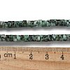 Dyed Natural Sesame Jasper/Kiwi Jasper Imitation African Turquoise Beads Strands G-H230-57-5