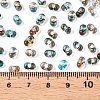 Spray Painted Glass Seed Beads SEED-T007-08A-4