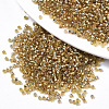 Glass Seed Beads SEED-S042-04B-07-1