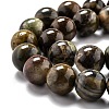 Round Natural Ocean Agate/Ocean Jasper Beads Strands G-L574-02C-3