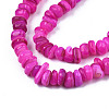 Natural Trochid Shell/Trochus Shell Beads Strands SHEL-S258-081-B07-3