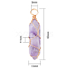 Natural Amethyst Pendants G-CJ0001-43-2