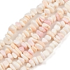 Natural Pink Shell Beads Strands X-SSHEL-L016-19-2