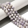 Natural Purple Turquoise Beads Strands G-K382-A09-02-2