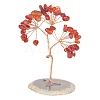 Natural Carnelian Chips Tree of Life Decorations PW-WGCF77D-01-1