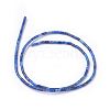 Natural Lapis Lazuli Beads Strands G-G783-01-2