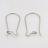 Tarnish Resistant 316 Surgical Stainless Steel Hoop Earrings STAS-N019-07-1