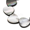 Natural Black Lip Shell Beads Strands BSHE-D300-06C-3
