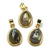 Natural Labradorite Pendants G-M405-05G-3