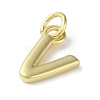 Rack Plating Brass Charms KK-P245-06G-V-2