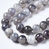 Natural Iolite Beads Strands G-N328-50A-01-3