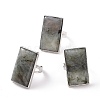 Adjustable Rectangle Natural Labradorite Brass Rings RJEW-N024-01A-1