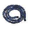 Dyed Natural Lapis Lazuli Beads Strands G-M403-A30-01-3