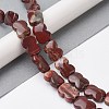 Natural Red Rainbow Jasper Beads Strands G-K359-D06-01-2