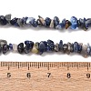 Natural Sodalite Chips Beads Strands X-F024-7
