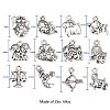 Zinc Alloy Charms PALLOY-CJ0001-100-2