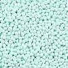 6/0 Glass Seed Beads X1-SEED-L011-08A-14-3