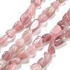 Natural Rose Quartz Beads Strands G-C179-F01-01-1