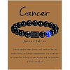 12 Constellation Natural Round Lapis Lazuli Beads Stretch Bracelets WGD22B0-13-1