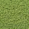 TOHO Round Seed Beads X-SEED-TR11-0131-2