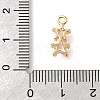 Rack Plating Brass Micro Pave Cubic Zirconia Charms KK-S396-58G-3