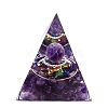 Natural Amethyst Display Decorations PW-WG0062E-01-5