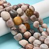 Natural Zebra Jasper Beads Strands G-A247-03-3