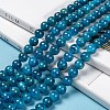 Round Natural Apatite Beads Strands G-K068-04-10mm-6