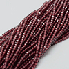 Natural Garnet Bead Strands G-P271-3mm-05-3