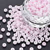 6/0 Glass Seed Beads SEED-T005-14-B18-4