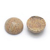 Natural Picture Jasper Cabochons G-P393-R51-4MM-2