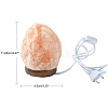 Natural Himalayan Rock Salt Lamp DJEW-P002-01A-4