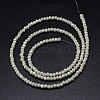 Faceted Rondelle Full Rainbow Plated Electroplate Glass Beads Strands X-EGLA-M004-2mm-A17-3