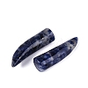 Natural Sodalite Pendants G-Q602-10D-2